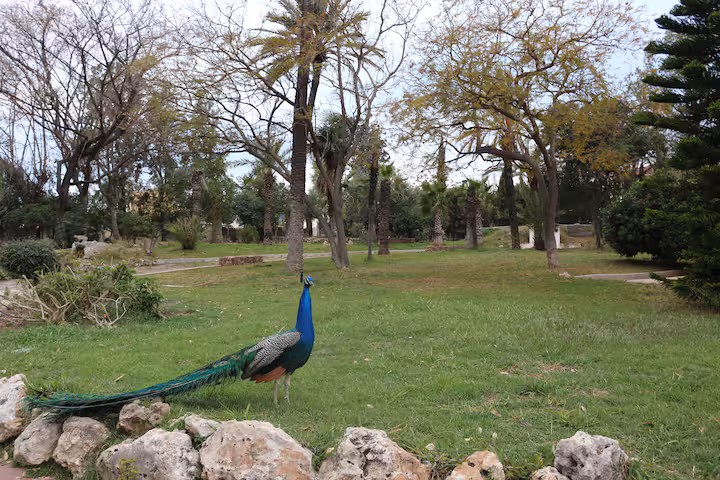 1d3ded96 db17 4c47 962c 80c9e149a7c6