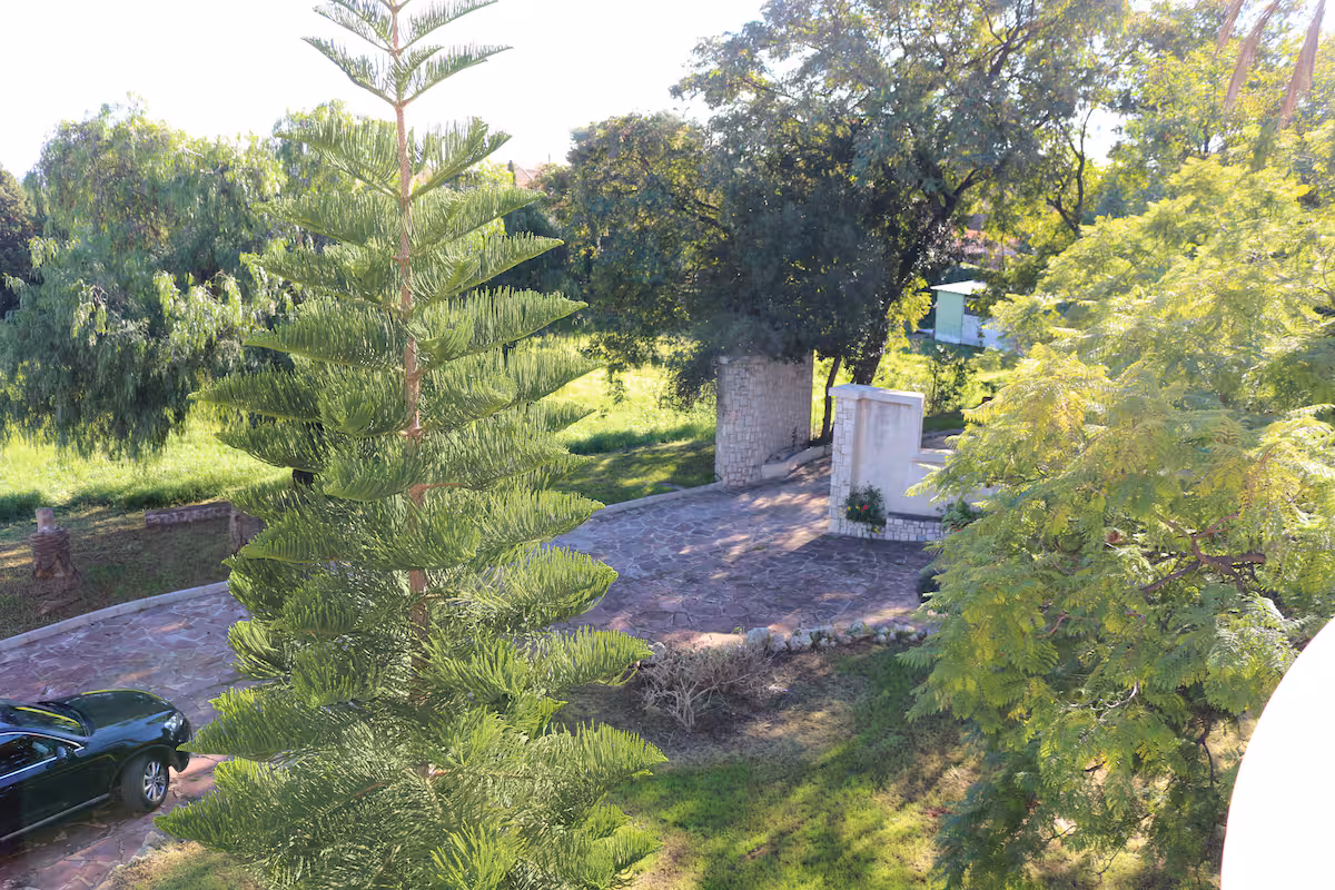 Fec43633 14e1 4949 8c06 e7770ed3df6a